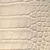 Bone Croco Swatch
